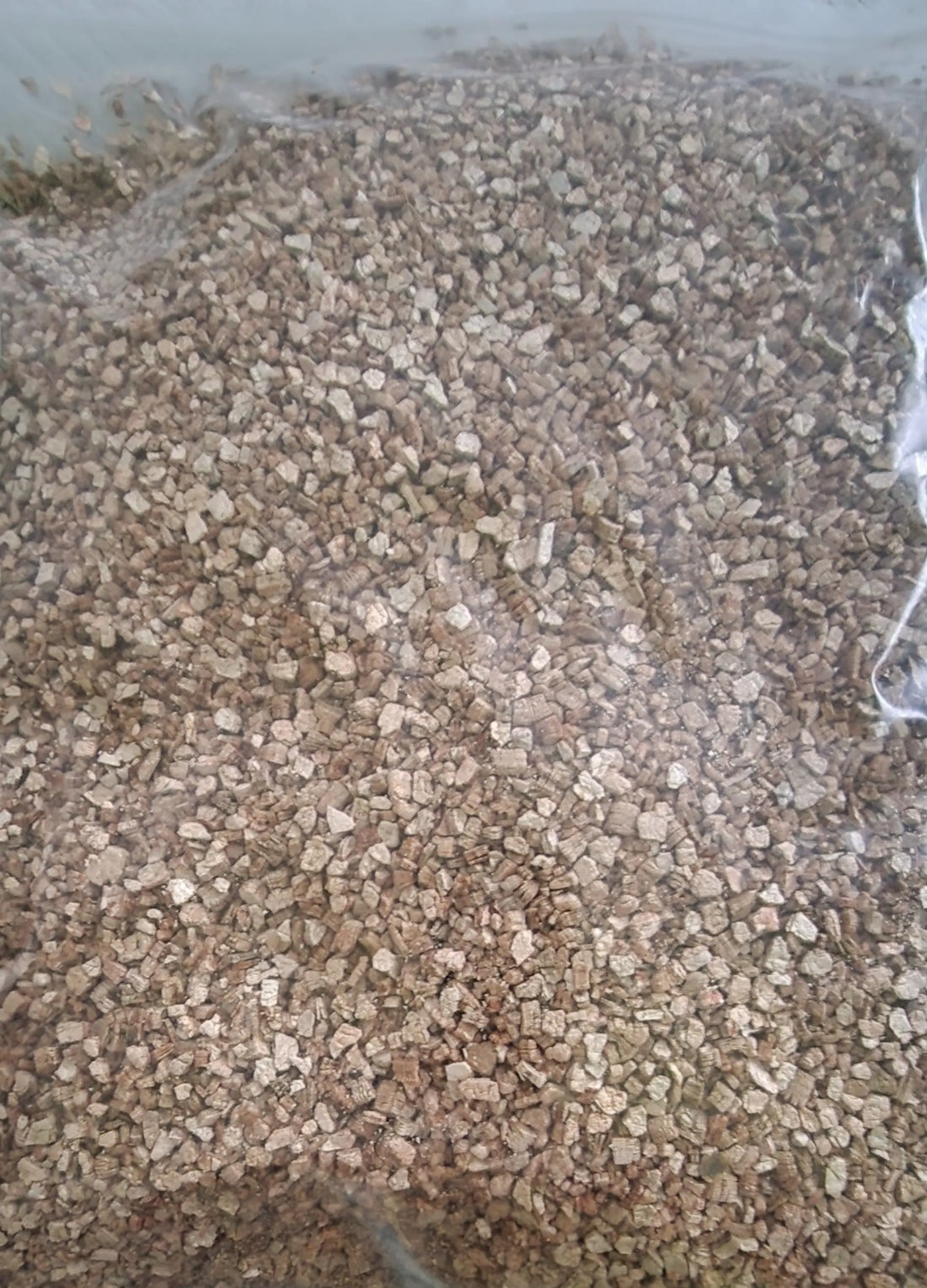 vermiculite pour incubation