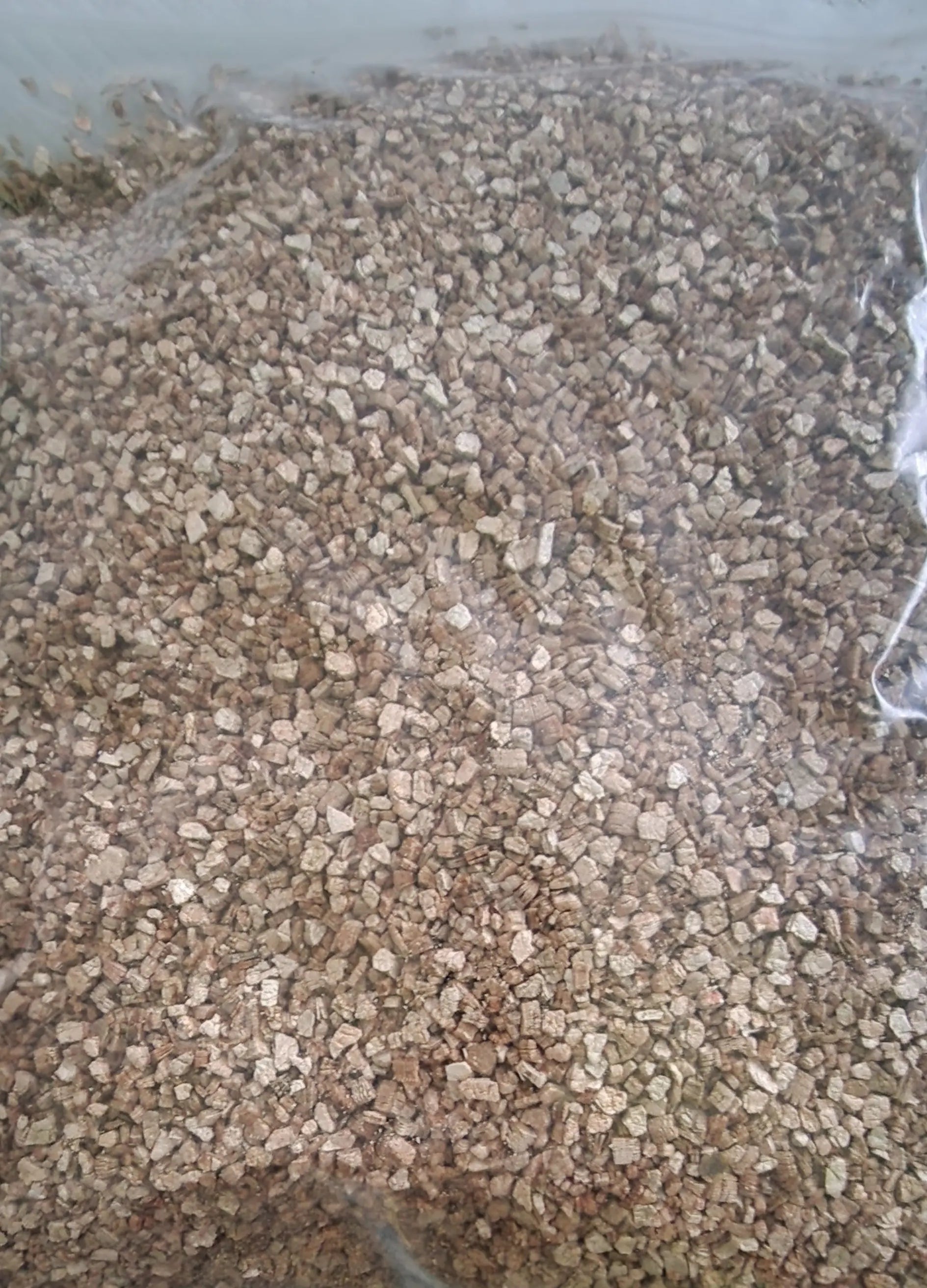 vermiculite pour incubation