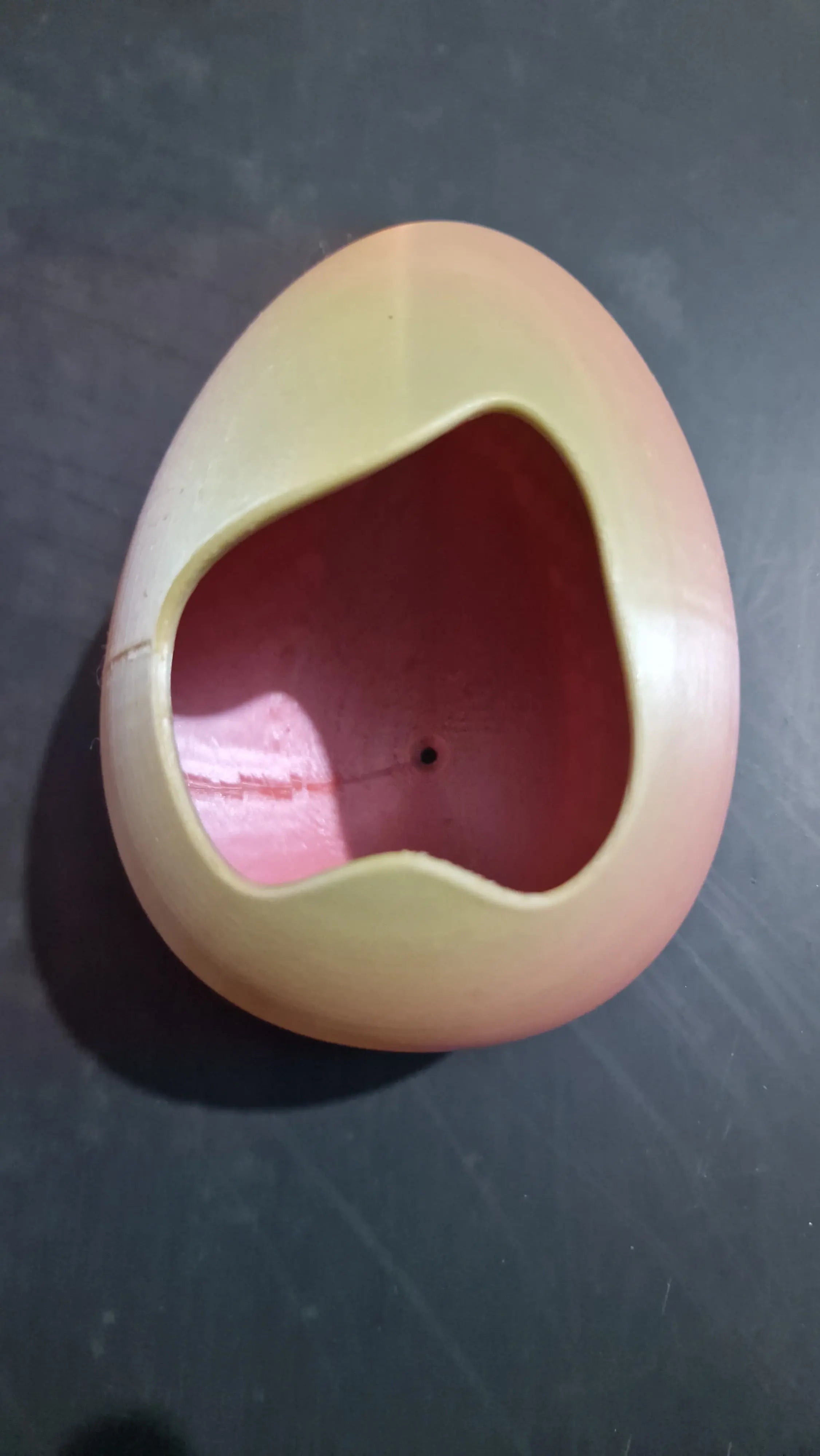 cachette œufs reptile