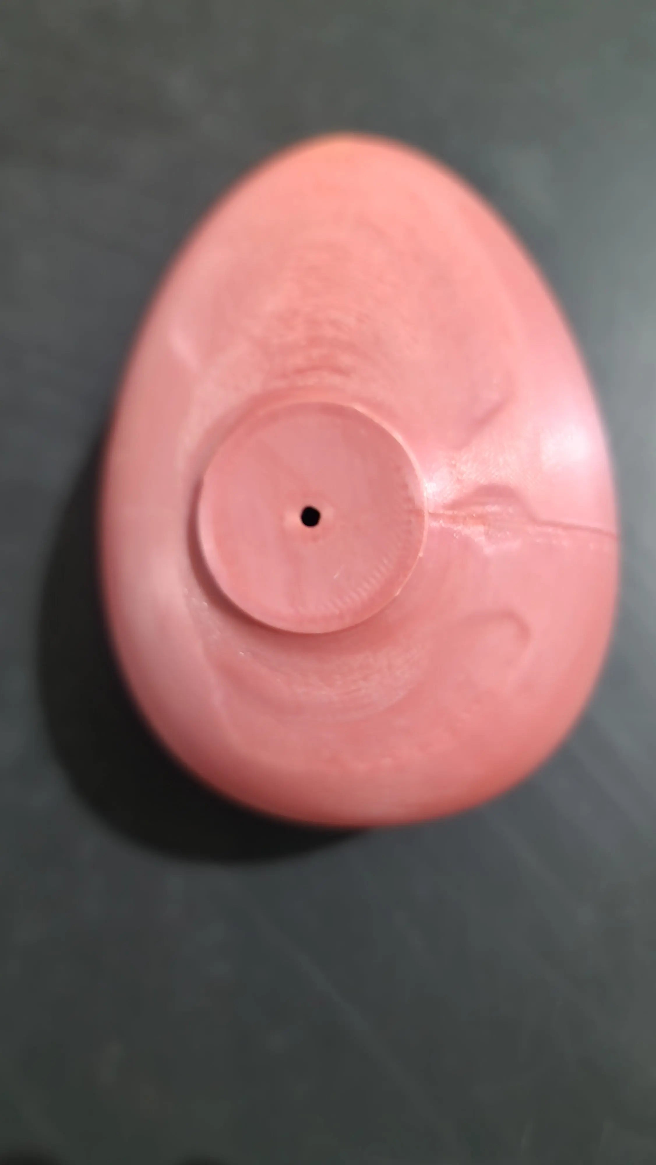 cachette œufs reptile